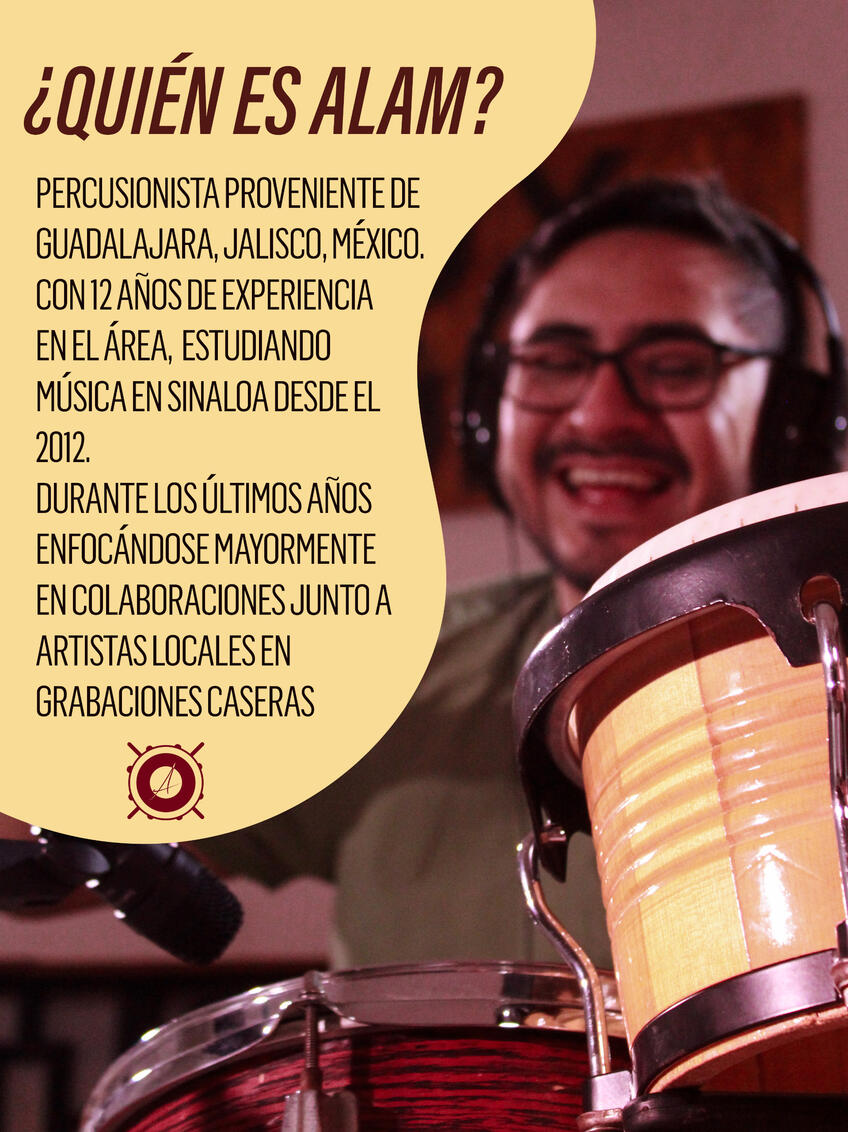 Musician&#39;s short resume - instagram post